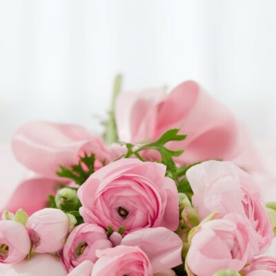 Roses for Emma