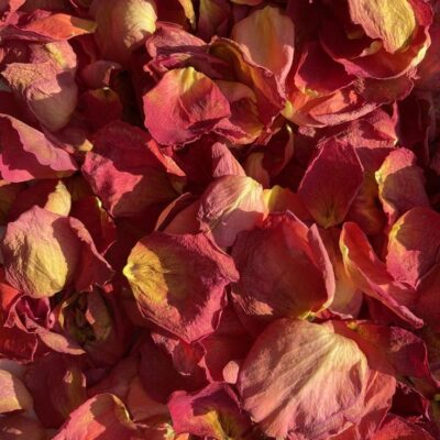 Pétalos de Rosas Rojas