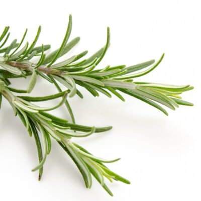 Aceite Esencial Romero BRIBRI