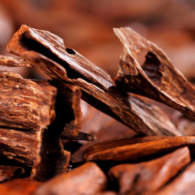 F. El famoso Sándalo