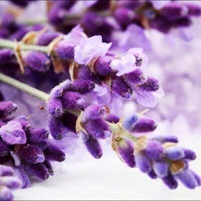 Linalool