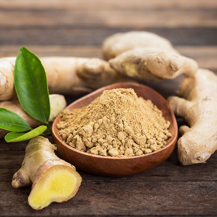 Polvo de Jengibre