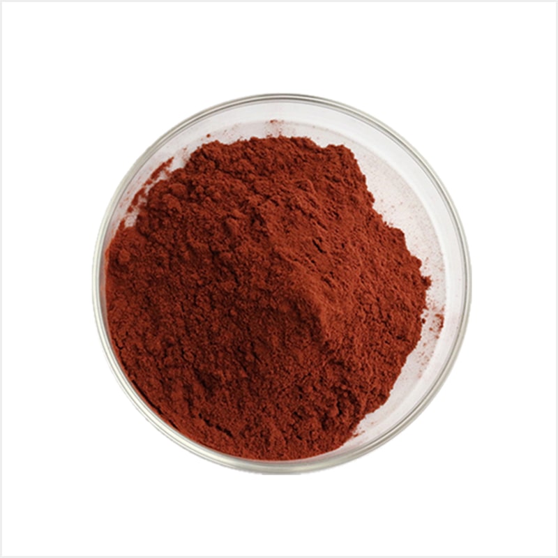 Extracto de Semilla de Uva (Polvo)