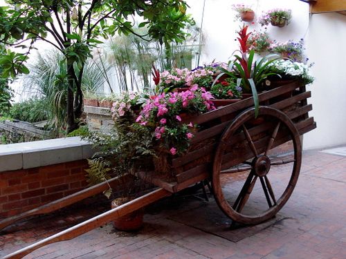F. Carreta de Rosas