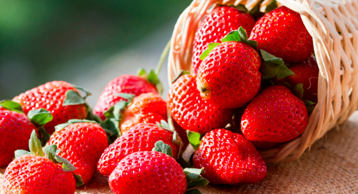 F. Fresas de la Perla