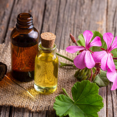 Aceite Esencial de Geranio BRIBRI