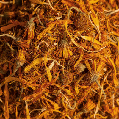 Caléndula Entera (Albania)