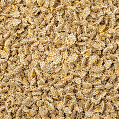 Flores de Yarrow (Milenrama)